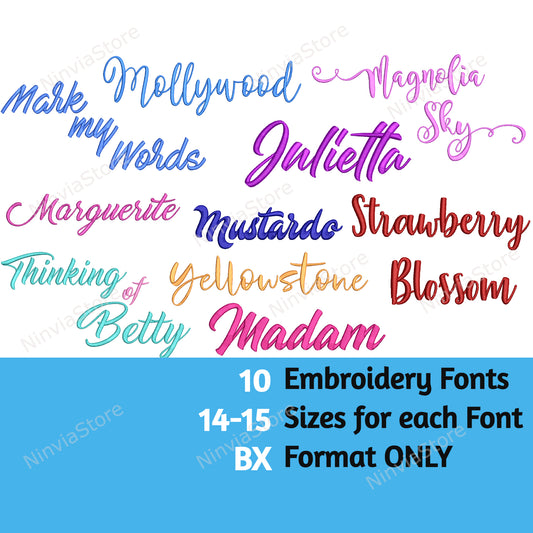 10 BX Embroidery Script Fonts Bundle, Cursive Alphabet Embroidery Design, Calligraphy Monogram Font, Machine Embroidery Font BX