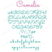 PES Embroidery Script Fonts Bundle, Cursive Alphabet Embroidery Design ...